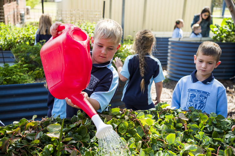 Two students water the vegetable garden.